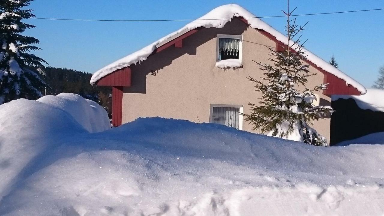 Ferienhaus Brigitte Klingenthal Exterior foto